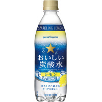 おいしい炭酸水レモン　５００ｍｌ　２４本×２