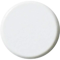 両面強力カラーマグネット　１８ｍｍ　白　１０個入