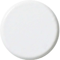 両面強力カラーマグネット　２５ｍｍ　白　１０個入