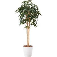 人工植物　パキラツリー　高さ１６００　光触媒