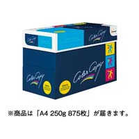 ＣＯＬＯＲ　ＣＯＰＹ　Ａ４　２５０ｇ　８７５枚