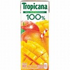トロピカーナ　マンゴーブレンド２５０ｍｌ　２４本