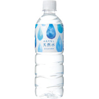 おもてなし用天然水　富士山　５００ｍｌ　４８本