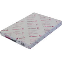 Ｎｃｏｌｏｒ０８１　Ａ４　１冊（２５０枚）×１０冊