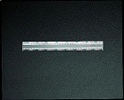 １６ｃｍ　定規